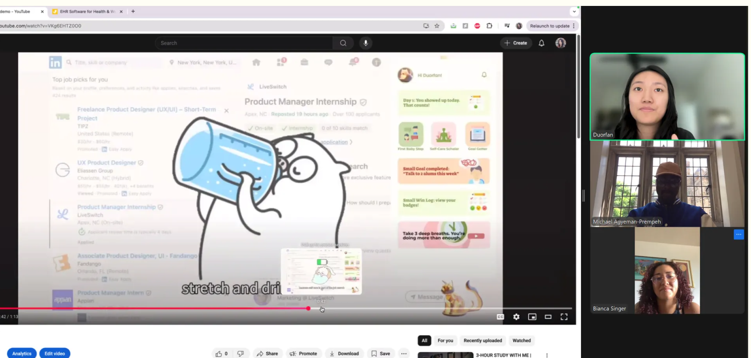 Moderated test session with a health expert